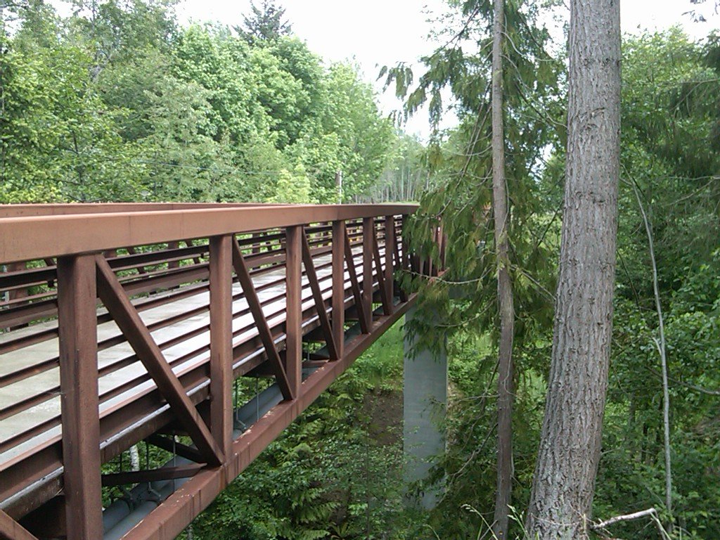 exeltech-dry-creek-pedestrian-bridge.jpg